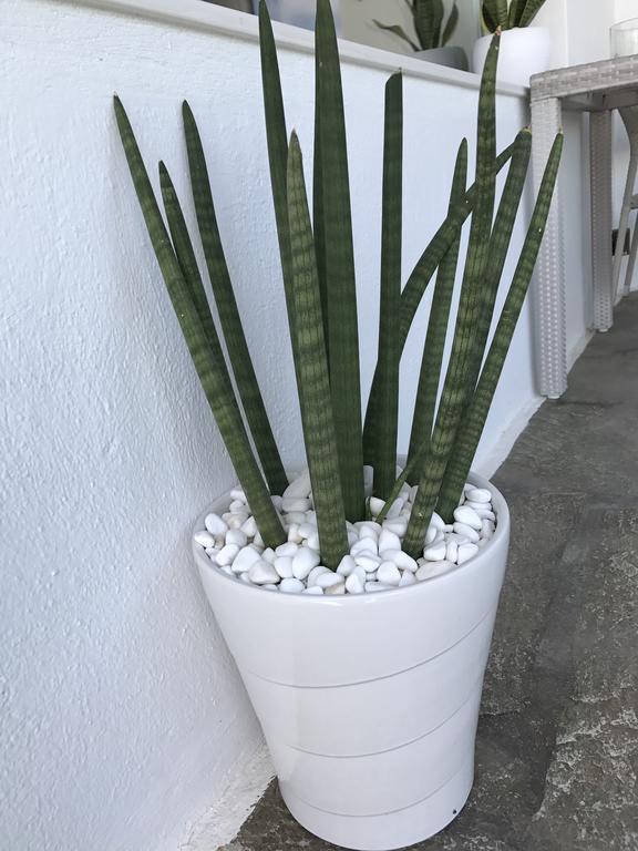 Yanna Asteri Suites * Ornos (Mykonos)